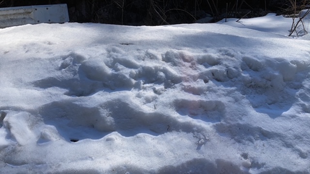 雪景色　広島　家具のアウトレット＆直輸入エフデポ