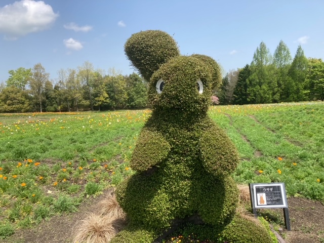 うさぎ　備北丘陵公園　広島　家具のアウトレット＆直輸入エフデポ