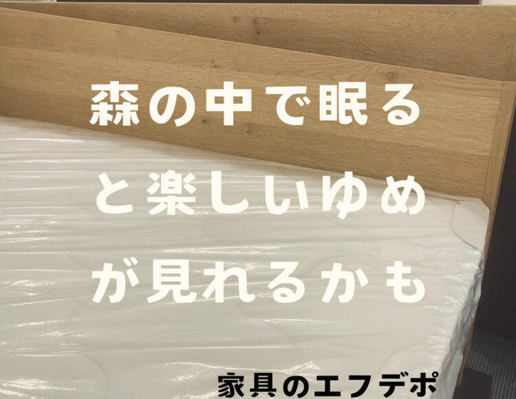 広島家具ベッド　家具の新品アウトレット＆直輸入エフデポ広島商工センター店