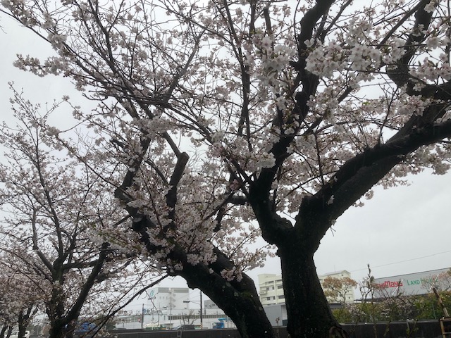 広島家具ベッド　家具の新品アウトレット＆直輸入エフデポ広島商工センター店